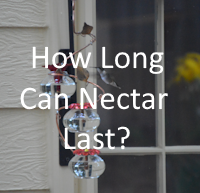 How long can nectar last throughout each season
