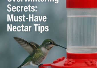 Make sure your hummingbird nectar is perfectly clear