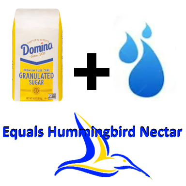 How to make free hummingbird nectar at home