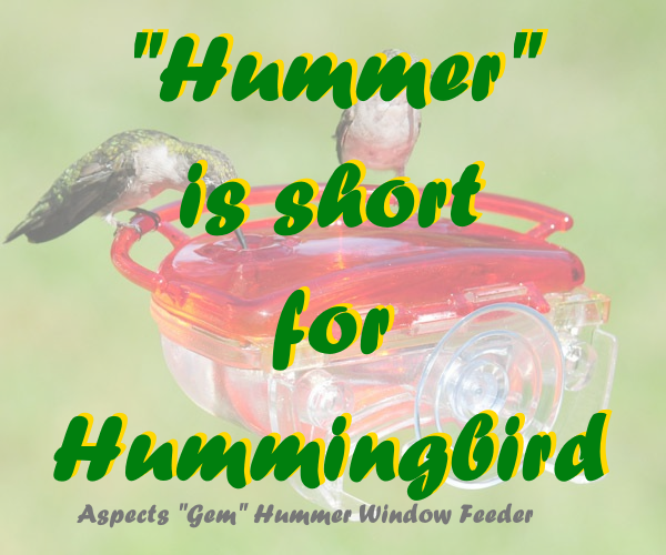 hummer is short for hummingbird