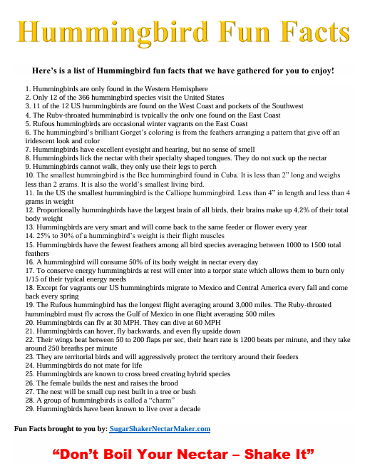 Hummingbird Fun Facts