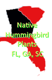 Native plants in Florida, Georgia, and South Carolina for Free Hummer Nectar