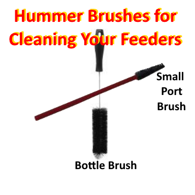 Best cleaning brushes for hummer feeders