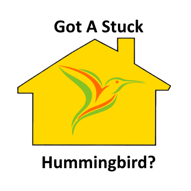 Hummingbird stuck in a house or garage