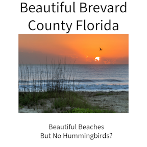 Beautiful Brevard County Beaches but no hummingbirds
