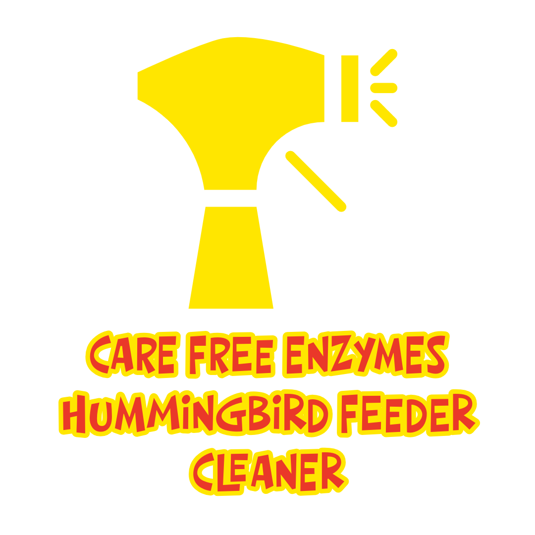 Different Methods for Cleaning Hummingbird Feeders