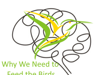 Why we as humans need to feed the birds