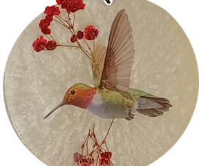 Hummingbird Magnet