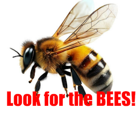 The hummer migration follows the flowers and insects. Look for the bees.