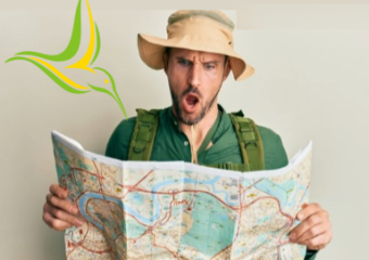 Hummers using sight for navigation