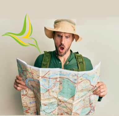 Hummers using sight for navigation