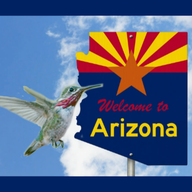 Hummingbirds of Arizona