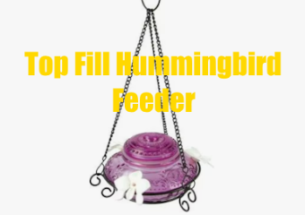 Top Fill Hummingbird Feeder, easiest to clean