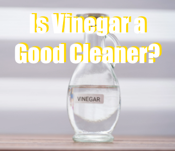 Using Vinegar as a cleaner for hummingbirds