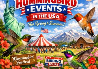 Colorful illustration of hummingbirds and a map of the USA highlighting spring and summer events.